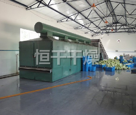 DWC系列脫水蔬菜帶式干燥機