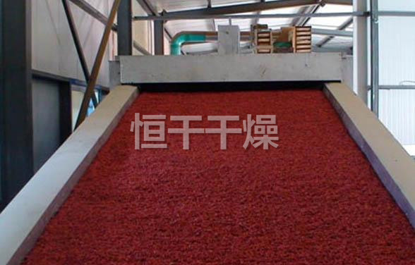 DWC系列脫水蔬菜帶式干燥機