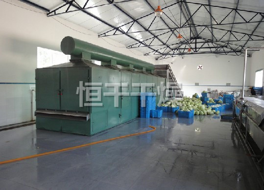 DWC系列脫水蔬菜帶式干燥機