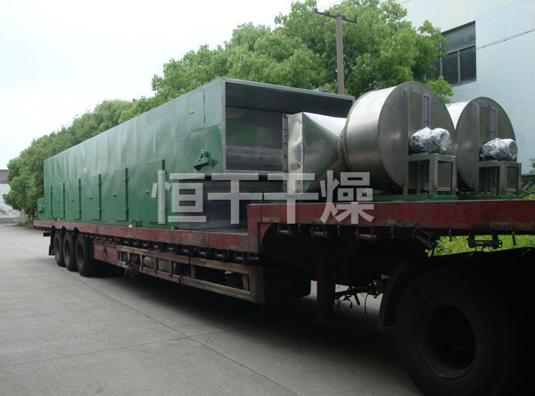 DWC系列脫水蔬菜帶式干燥機