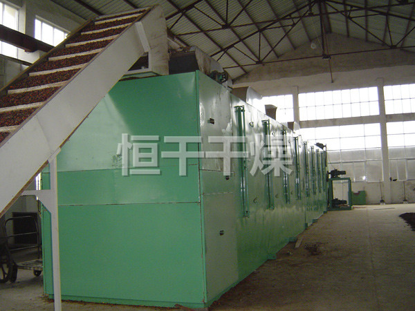 DWC系列脫水蔬菜帶式干燥機