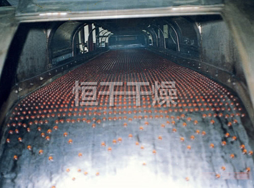 RL系列熔融造粒機